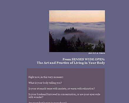 Web Site page